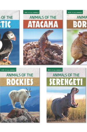 It’s All Animals Level 2