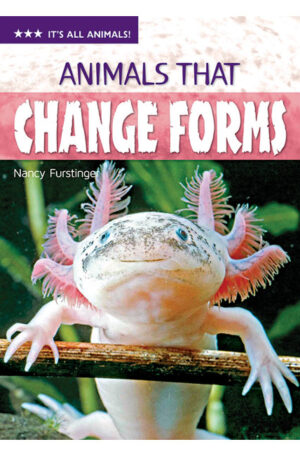 It’s All Animals Level 3