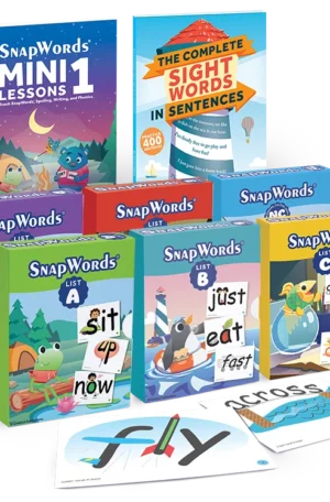 SnapWords 306 Teaching Cards