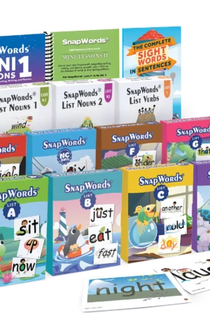 SnapWords 607 Teaching Cards
